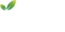 טבריה | מוקד ההזדמנויות